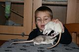 RAT 002